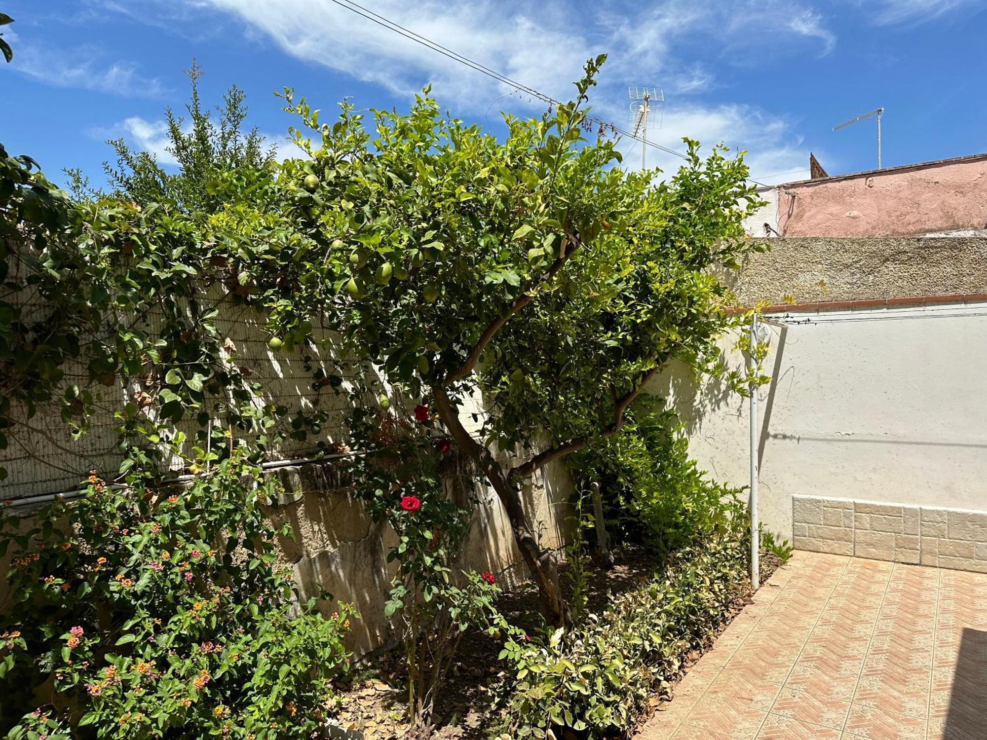 Villa San Leo San Leone Dış mekan fotoğraf